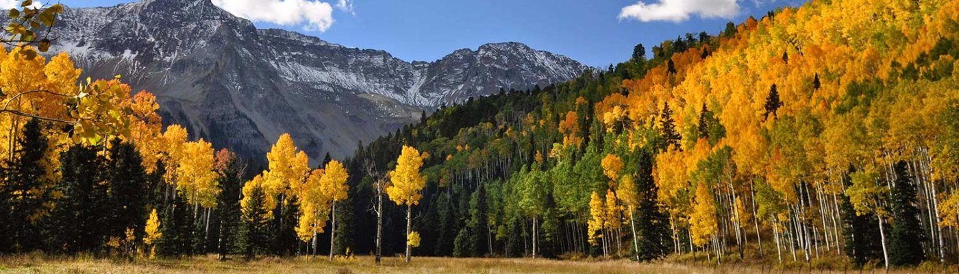 Hansel & Gretel a tale of two siblings